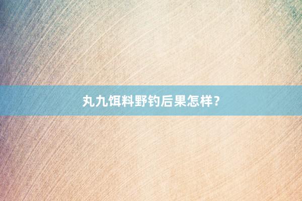 丸九饵料野钓后果怎样？